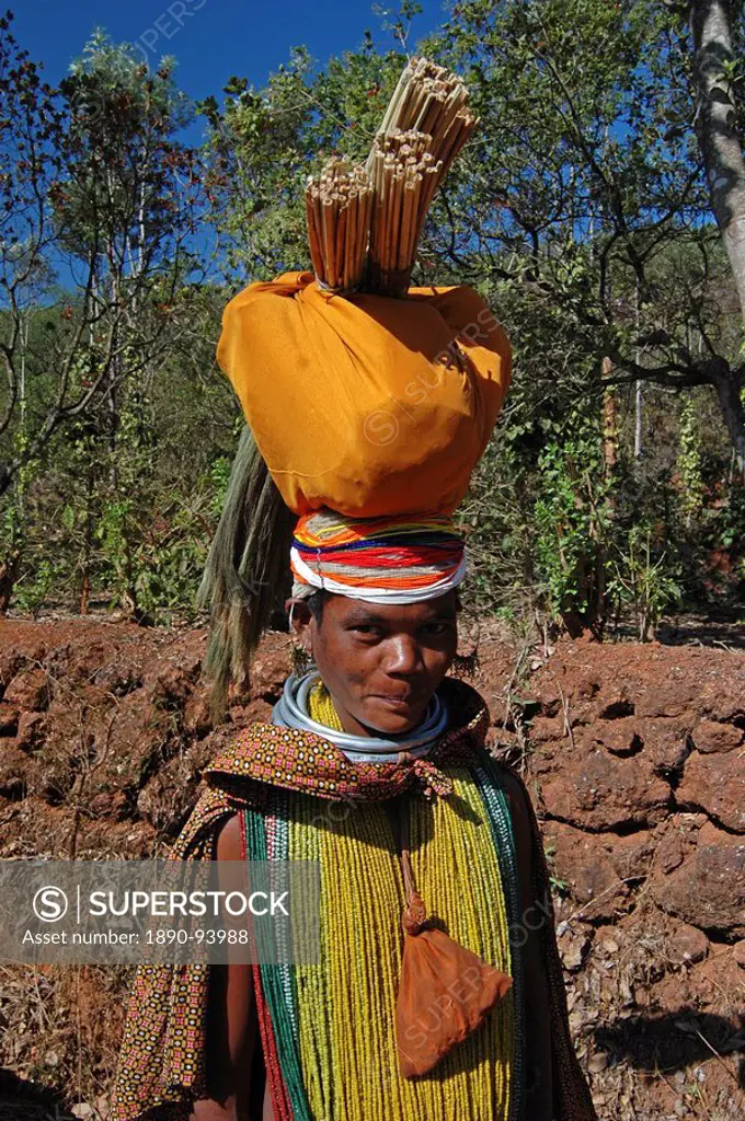 Bonda tribeswoman in traditional dress with beads, earrings and necklaces denoting her tribe and purse round her neck, carrying brushes to market, Onu...