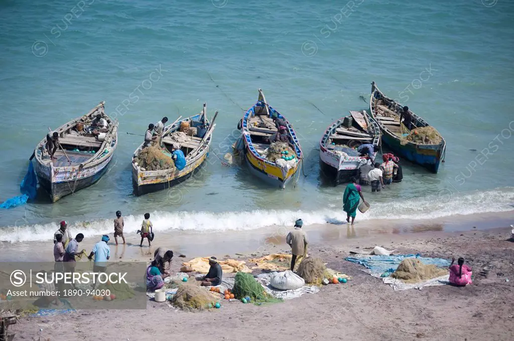 Everybody joins in as the morning´s catch of fish is unloaded, Dhanushkodi, Tamil Nadu, India, Asia
