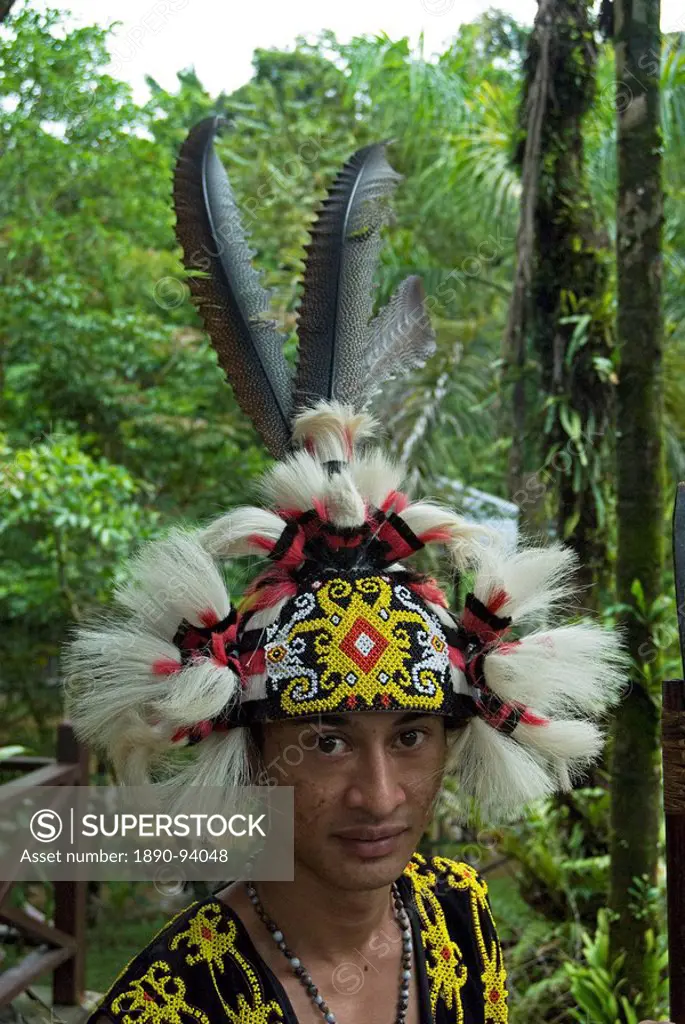 Iban tribesman wearing traditional tribal headdress of hornbill feathers, monkey hair and traditional beadwork, Mulu, Sarawak, Malaysian Borneo, Malay...