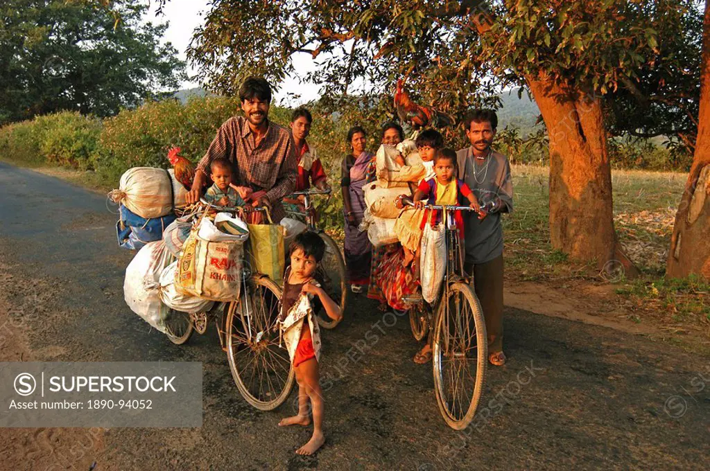 Two families moving house with all their possessions, including cockerels, carried on bicycles, Nimaparha, Puri district, Orissa, India, Asia