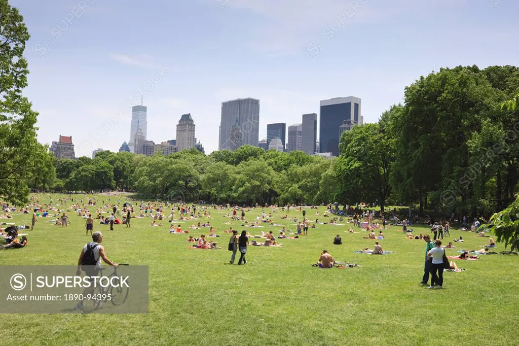 Sheep Meadow, Central Park on a Summer day, New York City, New York, United States of America, North America