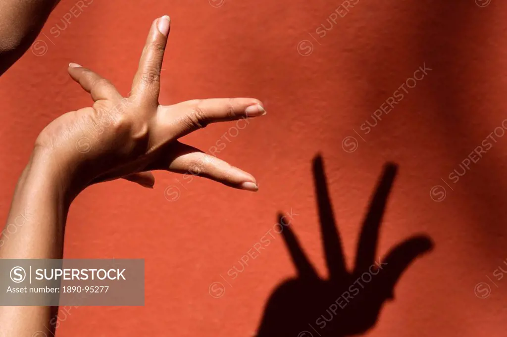 Close_up of hand and shadow of Ala Padma, a hand move, Odissi dance, India, Asia