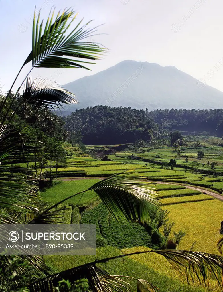 Batur, Bali, Indonesia, Southeast Asia, Asia