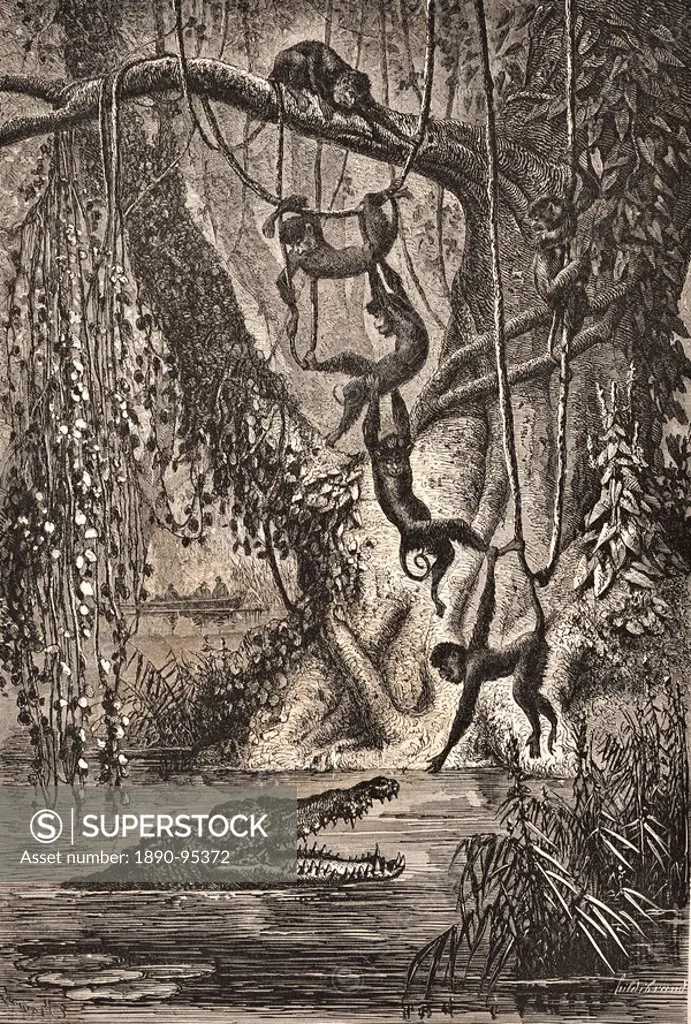 Animals in the jungle from the Travels of Mouhot, Laos, Indochina, Southeast Asia, Asia