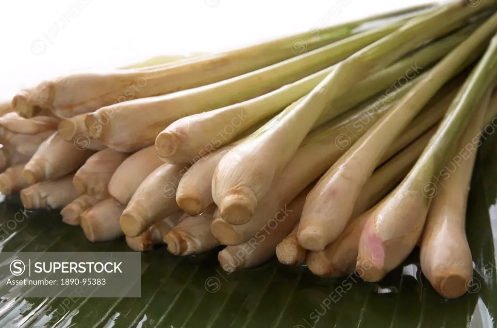 Lemongrass, widely used in cooking, and as a good cleanser to detoxify the body