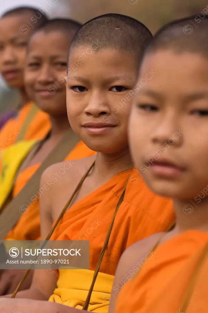 Student Monks, Chiang Mai, Thailand, Southeast Asia, Asia
