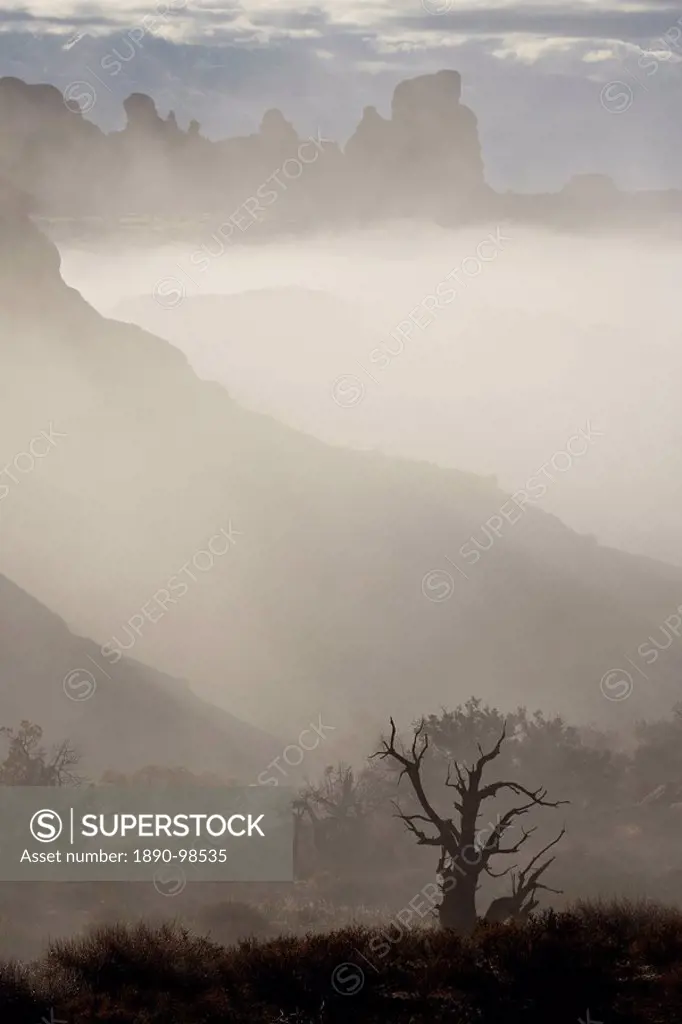 Fog surrounding formations, Arches National Park, Utah, United States of America, North America