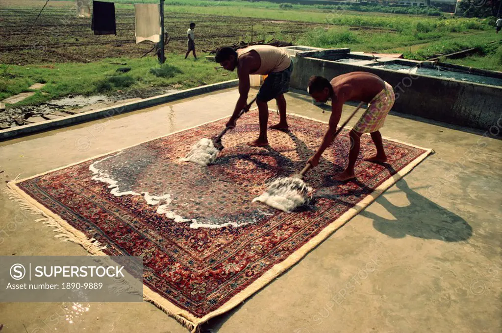 Carpet washing, Varanasi, Uttar Pradesh state, India, Asia