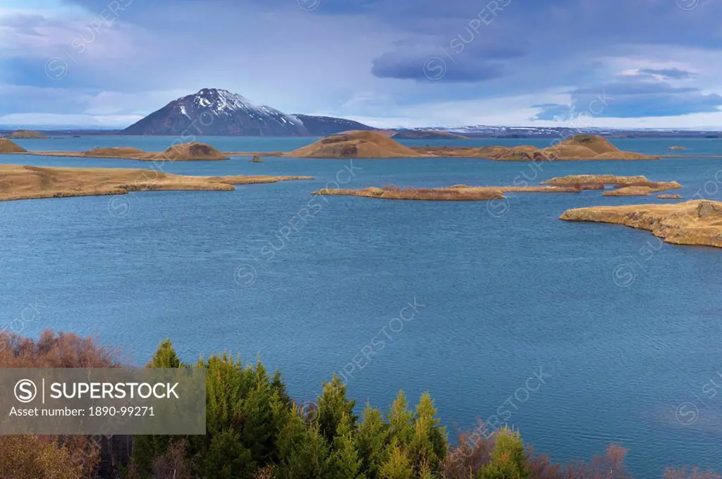 View of Lake Myvatn, from Hofdi on the east shore of the lake, with pseudo_craters and Mount Vindbelgjarfjall Vindbelgur, 529m, in the distance, Myvat...