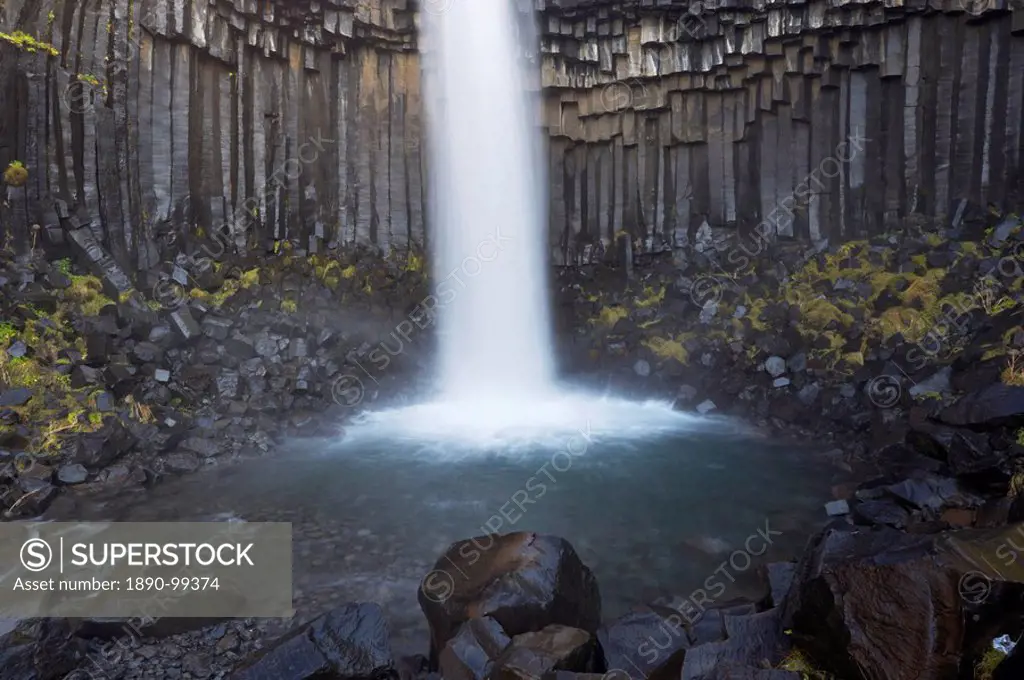 Svartifoss Black Falls waterfall, with overhanging black basalt columns, Skaftafell National Park, Iceland, Polar Regions