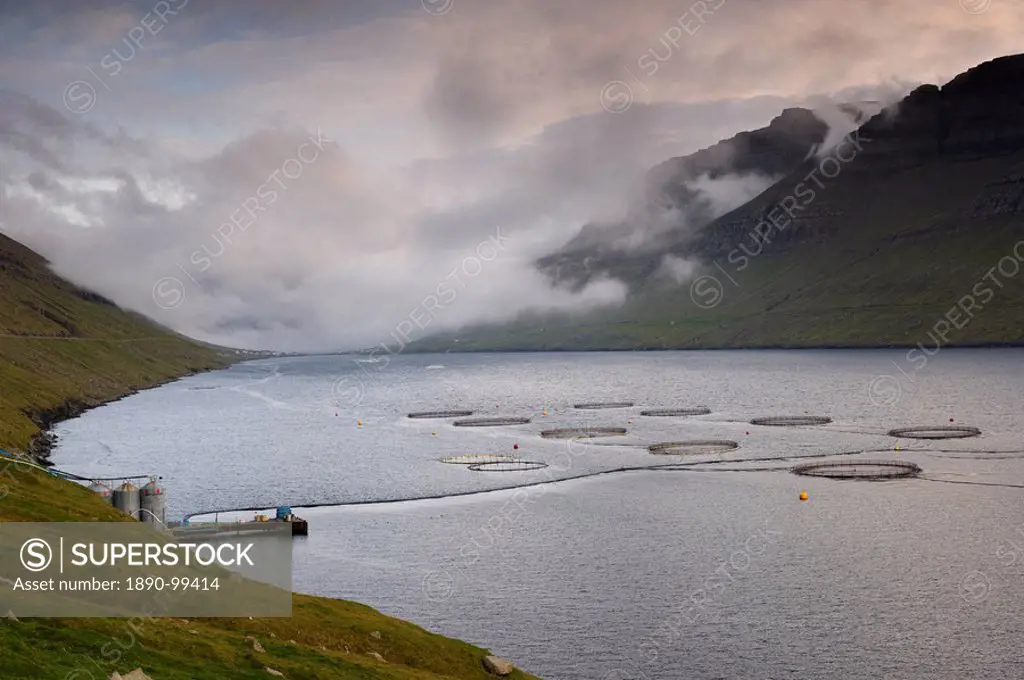 Salmon farming in Hvannassund, near Vidareidi, Vidoy, Nordoyar, Faroe Islands Faroes, Denmark, Europe