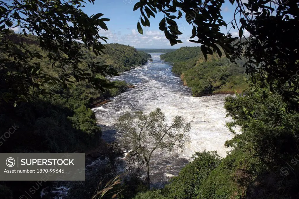 Murchison Falls, Murchison National Park, Uganda, East Africa, Africa
