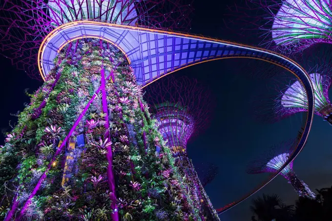 Gardens by the Bay at night, Singapore, Southeast Asia, Asia