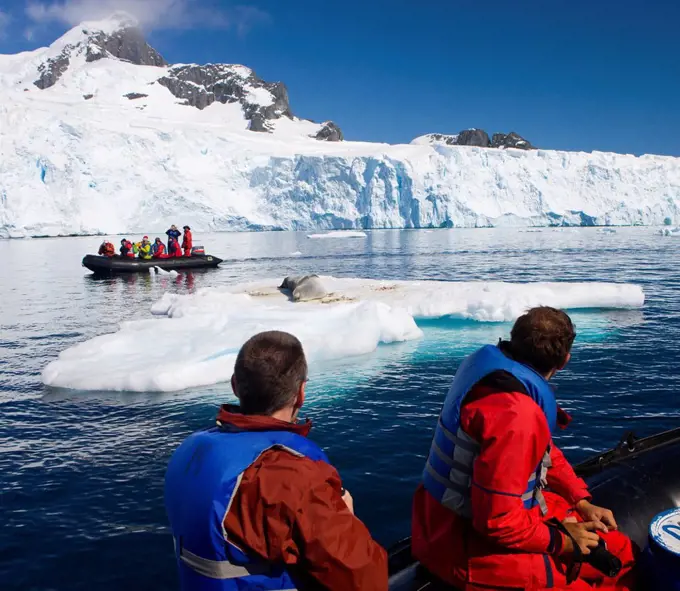 Tourists watch a basking leopard seal from Zodiacs, Cuverville Island, Antarctic Peninsula, Antarctica, Polar Regions