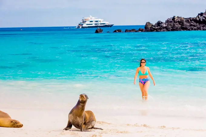 Hanging out with wildlife on Floreana Island, Galapagos Islands, Ecuador, South America