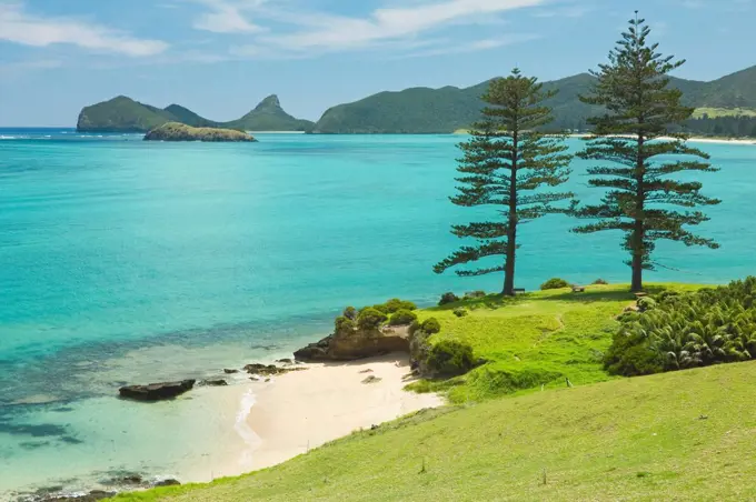 Looking north to Lover´s Bay with two Norfolk Island pines by the lagoon with the world´s most southerly coral reef, on this 10km long ancient volcani...