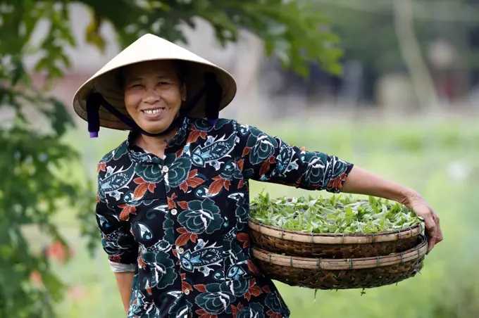 Smiling Vietnamese woman wearing the traditional palm leaf conical hat, Hoi An, Vietnam, Indochina, Southeast Asia, Asia