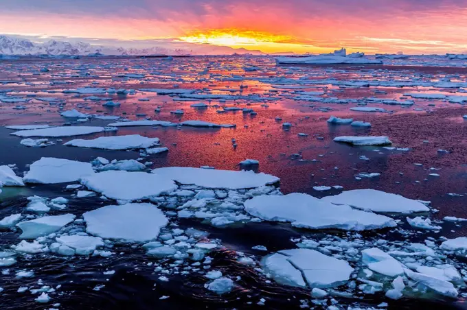 Sunset over ice floes and icebergs, near Pleneau Island, Antarctica, Southern Ocean, Polar Regions