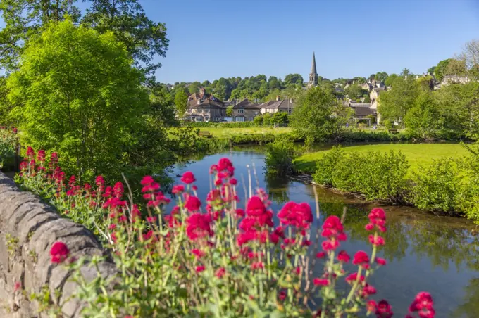 View of River Wye and Bakewell Church, Bakewell, Derbyshire Dales, Derbyshire, England, United Kingdom, Europe