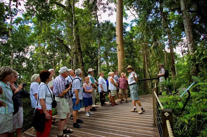 Tourists on rainforest boardwalk in Barron Gorge National Park, North Queensland, Australia