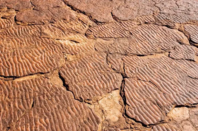 Ripple marks preserved in the Mereenie sandstone at King's Canyon, Northern Territory, Australia