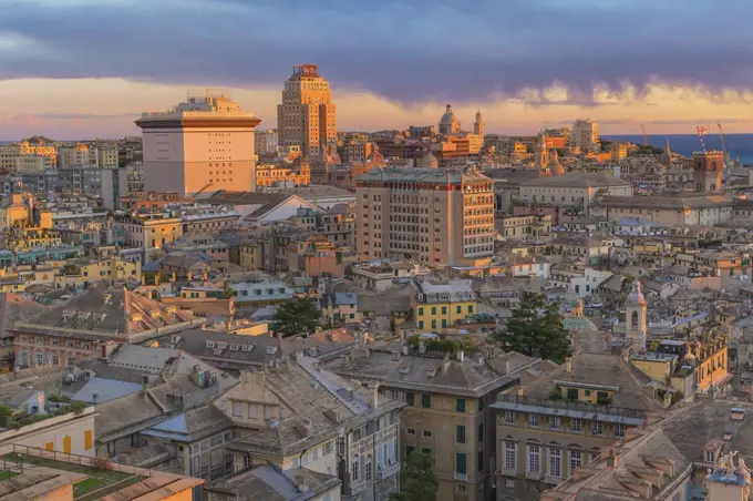 Cityscape, top view, Genoa, Liguria, Italy, Europe