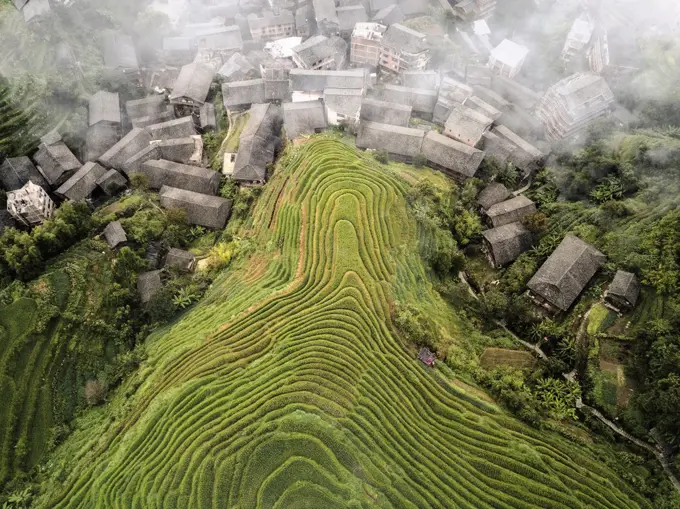 Aerial view on Longsheng rice terraces, also knows as dragon's backbone due to their shape, Guangxi, China, Asia