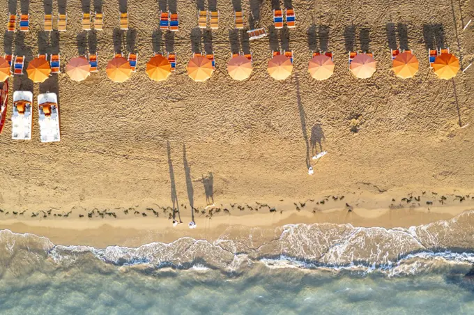 Aerial view of sunshades in a row on sand beach washed by the crystal sea, Vieste, Foggia province, Gargano, Apulia, Italy, Europe