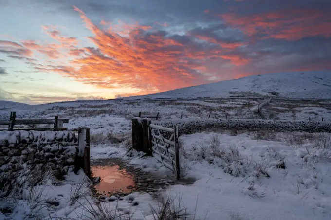 A dramatic winter scene at Wildboarclough, Peak District National Park, Cheshire, England, United Kingdom, Europe