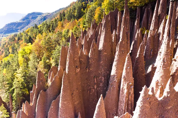 Spiked rocks of the earth pyramids in autumn, Longomoso, Renon (Ritten), Bolzano, South Tyrol, Italy, Europe