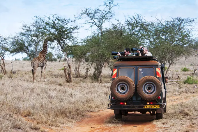 Tourists in the bush, Maasai Giraffe (Giraffa camelopardalis tippelskirchi), Lualenyi Ranch, Taita-Taveta County, Kenya, East Africa, Africa