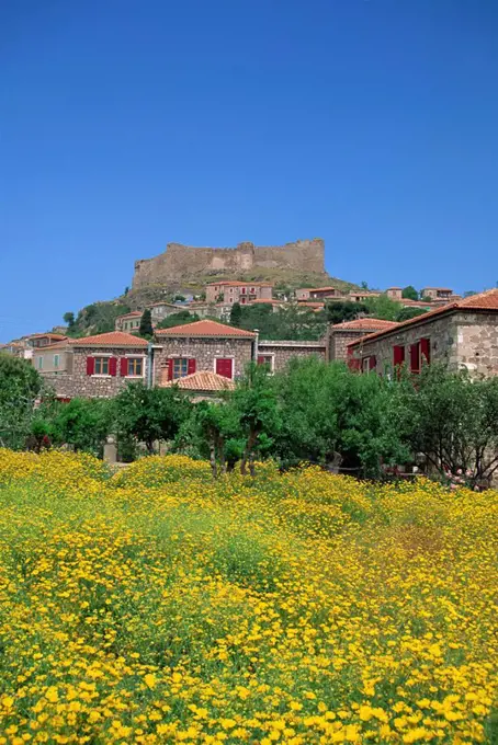 Castle above the town of Molyvos, Lesbos, North Aegean Islands, Greek Islands, Greece, Europe