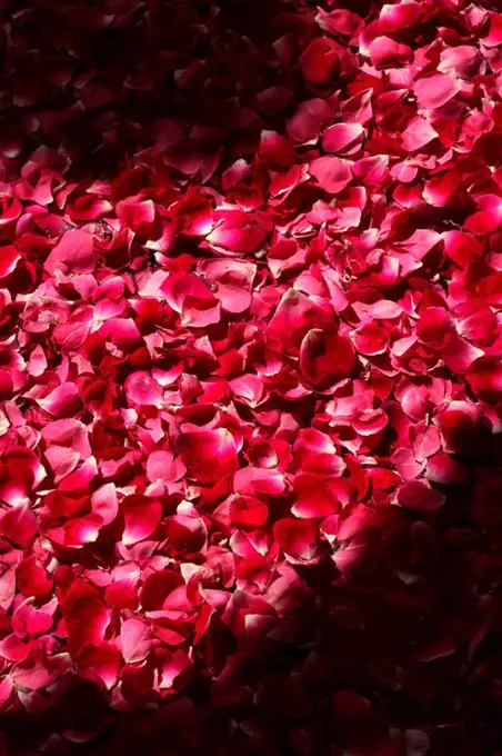 Bath with rose petals