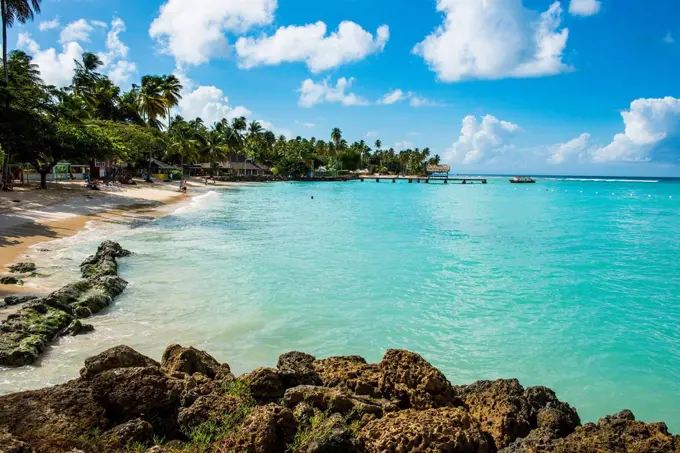 Sandy beach and palm trees of Pigeon Point, Tobago, Trinidad and Tobago, West Indies, Caribbean, Central America