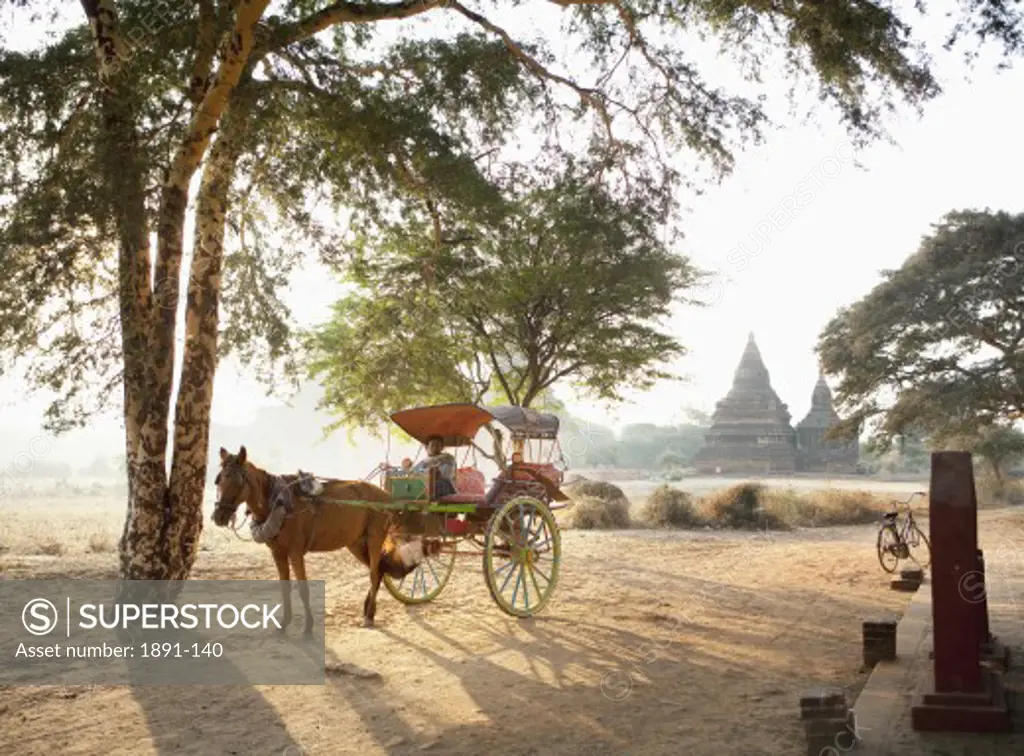 Man in a horse cart, Myanmar