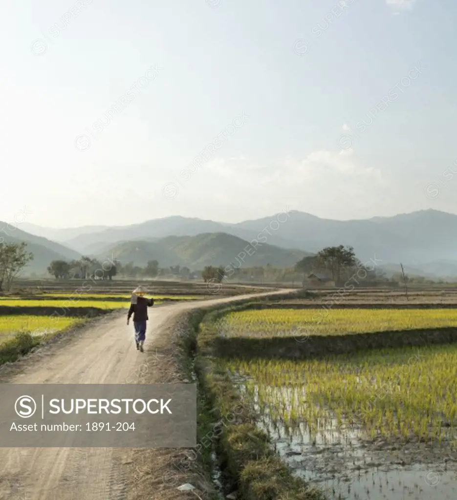 Myanmar, Farmer walking on dirt road