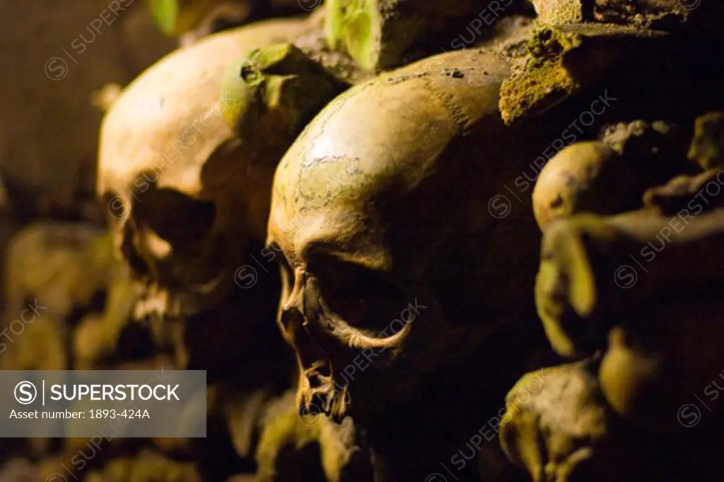Close-up of human skulls in the catacomb, Paris, Ile-de-France, France