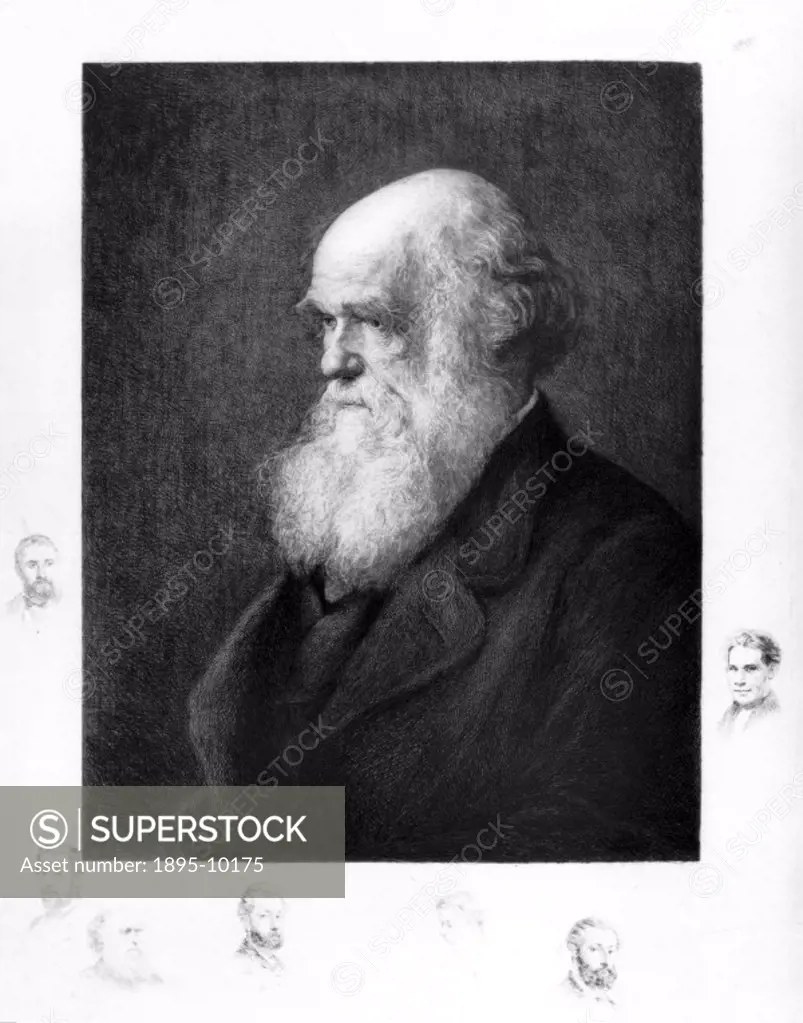Remarque proof etching by W W Ouless after an earlier work by P Rajon. Darwin (1809-1882), a British naturalist and the originator of evolutionary the...