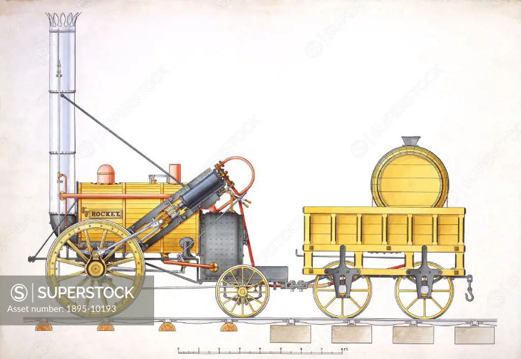 The locomotive represented by this conjectural coloured drawing (scale 1:8) was built by Robert Stephenson (1803-1859) and George Stephenson (1781-184...