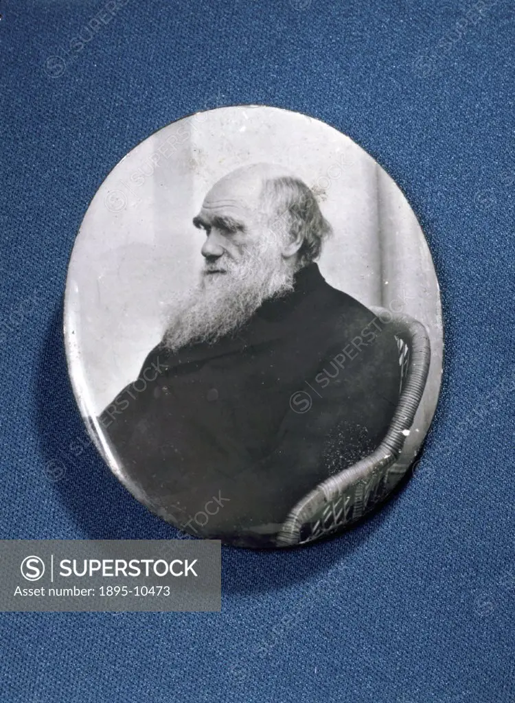 Enamelled photographic portrait, possibly by Henry Peach Robinson. Charles Darwin (1809-1882) was employed as naturalist on HMS Beagle from 1831-36. H...