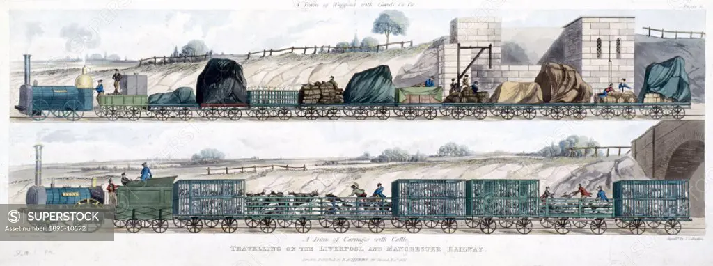Painting by Isaac Shaw showing the ´Liverpool´ locomotive hauling a train of goods wagons, and the ´Fury´ locomotive hauling carriages full of cattle....