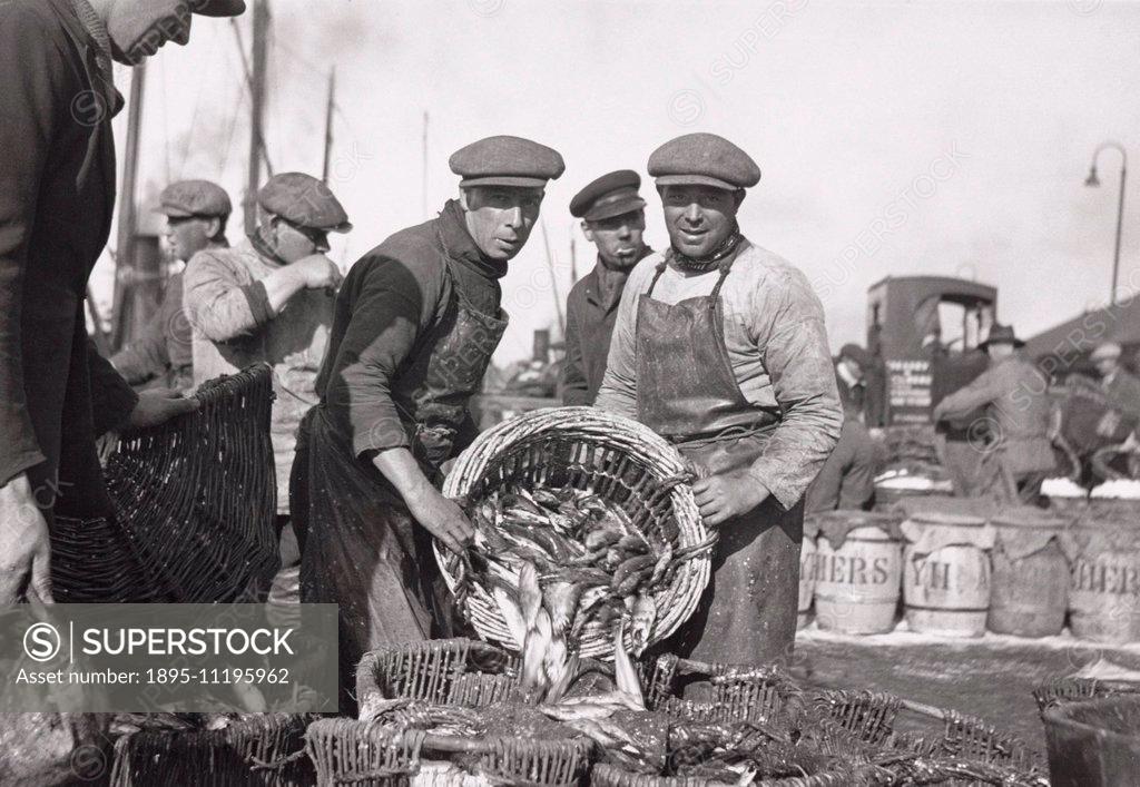 Fishermen with their catch, c 1920s. Fishermen with their catch, c 1920s. -  SuperStock
