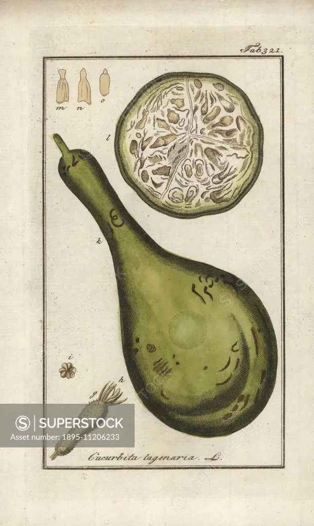 Calabash gourd, Lagenaria siceraria. Handcoloured copperplate botanical engraving from Johannes Zorn's Afbeelding der Artseny-Gewassen Jan Christiaan ...