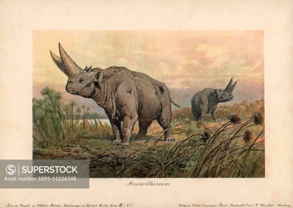 Arsinoitherium, an extinct genus of paenungulate mammals related to the elephant. Colour printed illustration (chromolithograph) by Heinrich Harder fr...