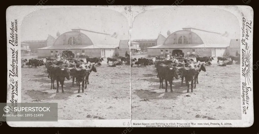 One of a boxed set of stereoscope photographs produced for sale to the general public by a professional firm of photographers, Underwood and Underwood...