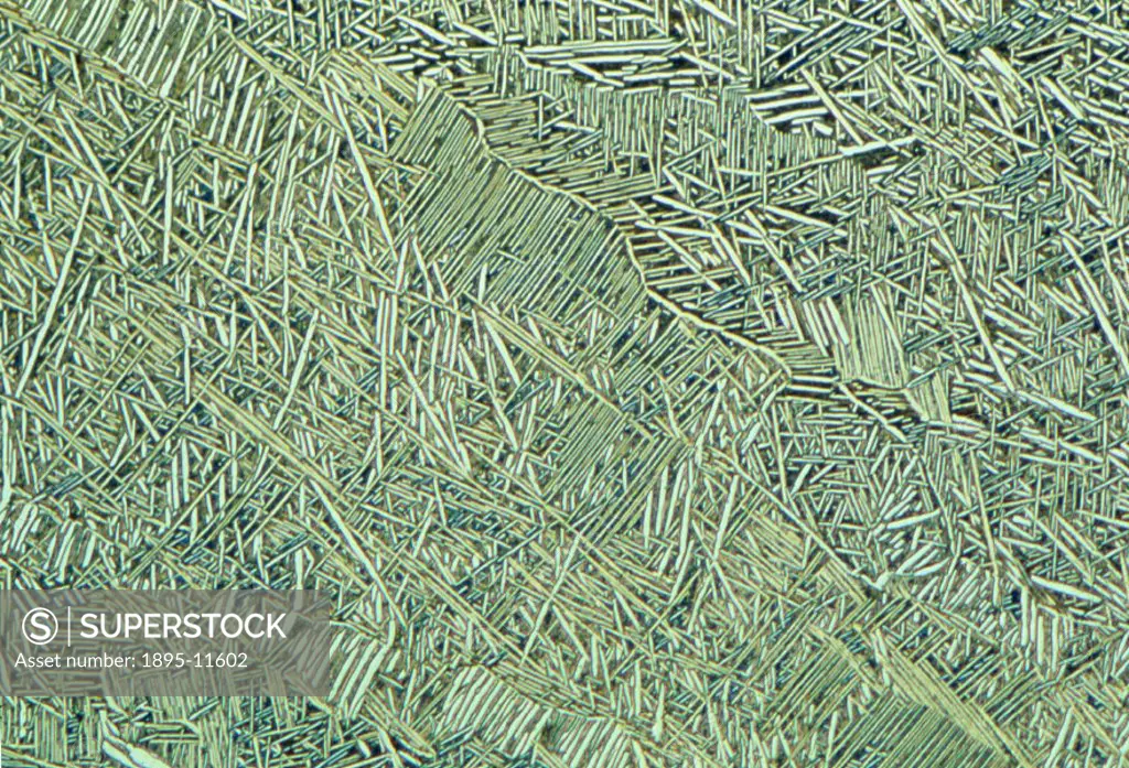 Light micrograph under uncrossed polars. Magnification 500x.