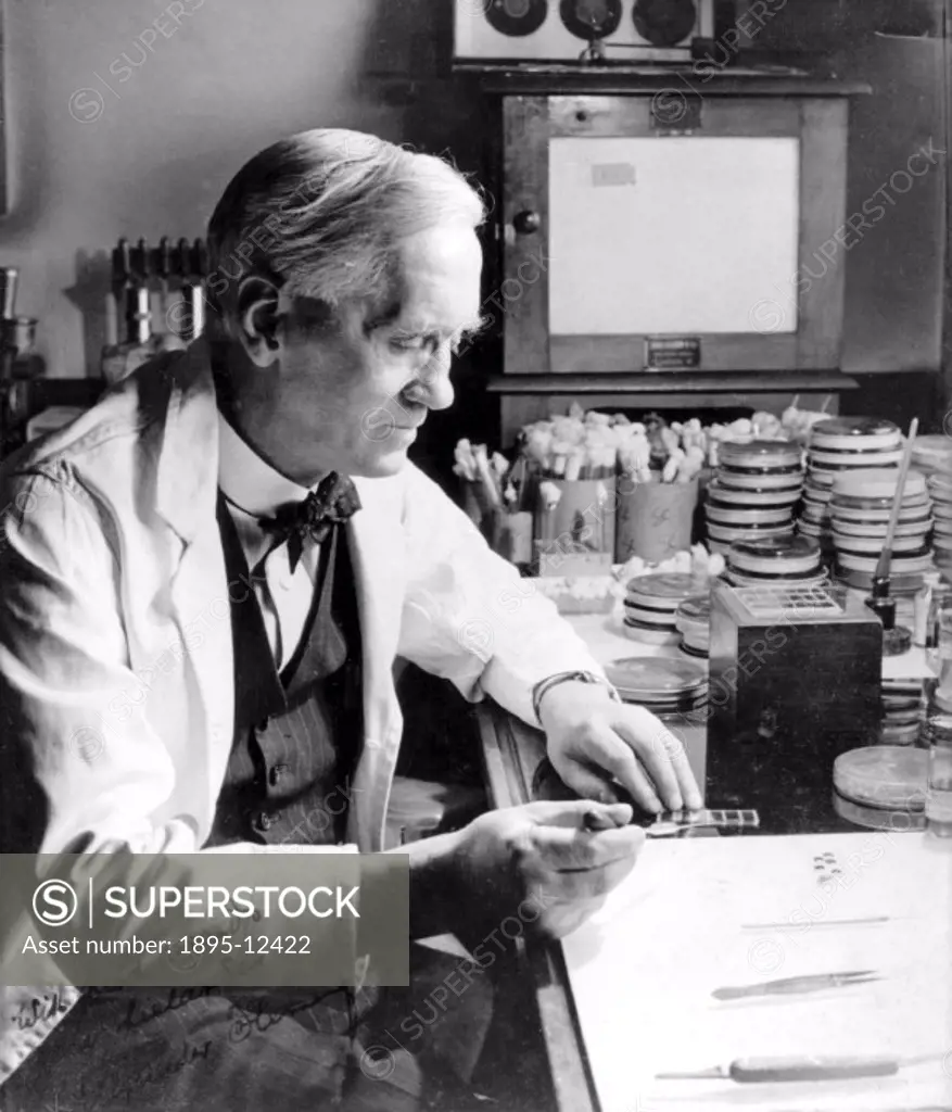 Signed photograph of Fleming (1881-1955) in his studio. Fleming identified the anti-bacterial properties of the penecillium mould in 1928. The Oxford ...