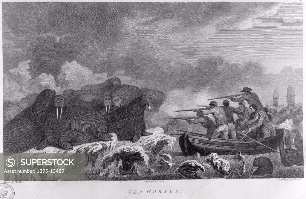 Engraving by E Scott after J Webber, the figures by J Heath’. Sailors shoot walruses from a boat, while others haul a carcass into another boat in th...