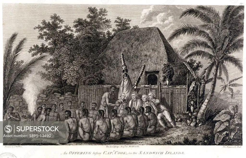 Engraving, the landscape by Middiman and the figures by Hall, after a drawing by Webber, showing natives of the Sandwich Islands (Hawaii) slaughtering...