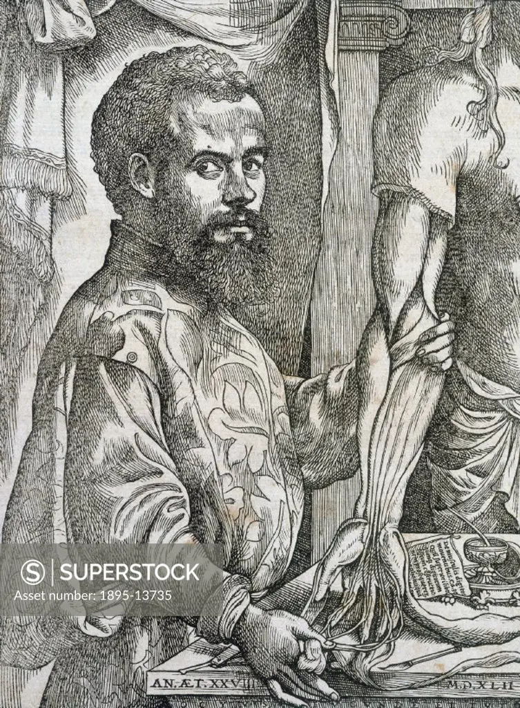 Woodcut by Steven van Calcar from Andreas Vesalius´s greatest work ´De Humani Corporis Fabrica´ (´On the Structure of the Human Body´), 1543, which, w...